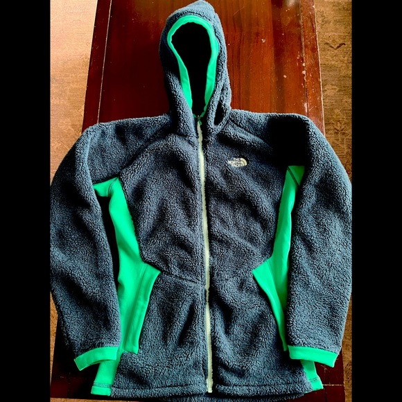 The North Face Jackets & Blazers - Womens NorthFace hooded fleece sweatshirt